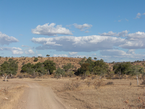 Mashatu Game Reserve